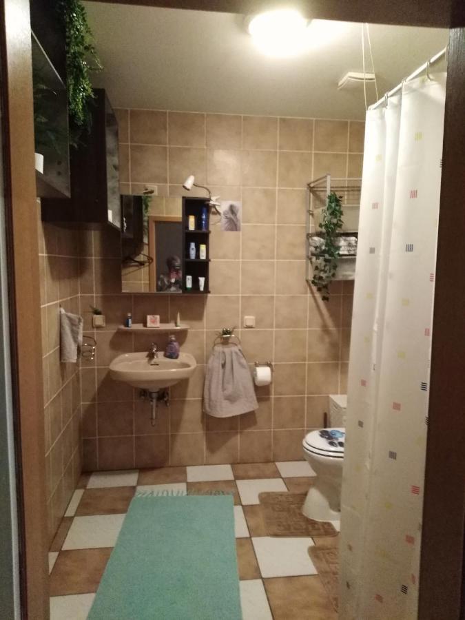 Studiowohnung, Neu Renoviert, Zentrale Lage Saarlouis Exterior foto